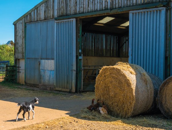 Agricultural Intruder Alarms