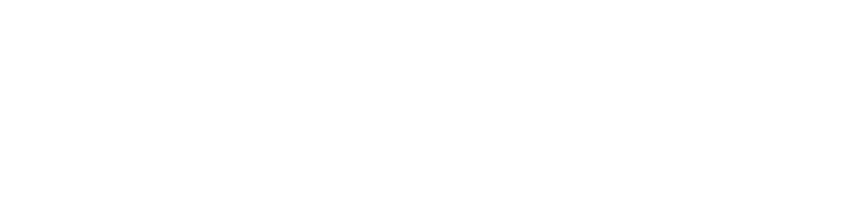 Visual and Auditory Warning