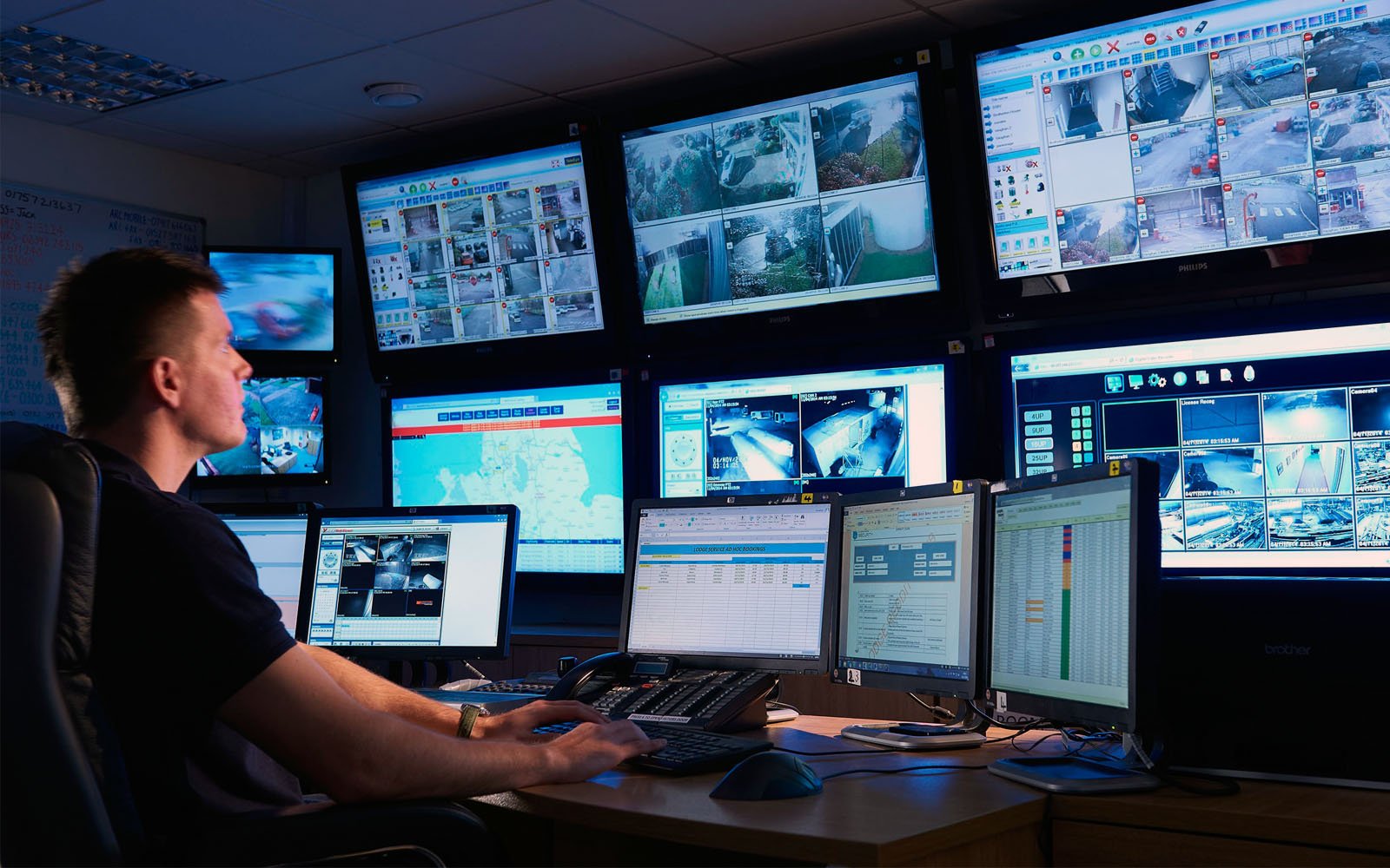 Domestic Monitored Systems